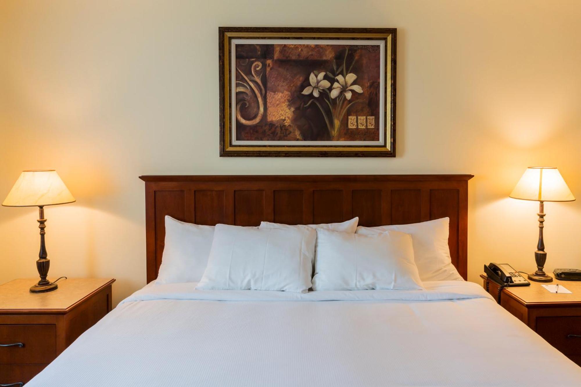 Hotel St-Bernard Saint-Bernard-de-Lacolle エクステリア 写真